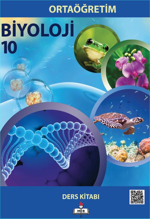 10. Sınıf Biyoloji Ders Kitabı Çözümleri ve Cevapları MEB Yayınları