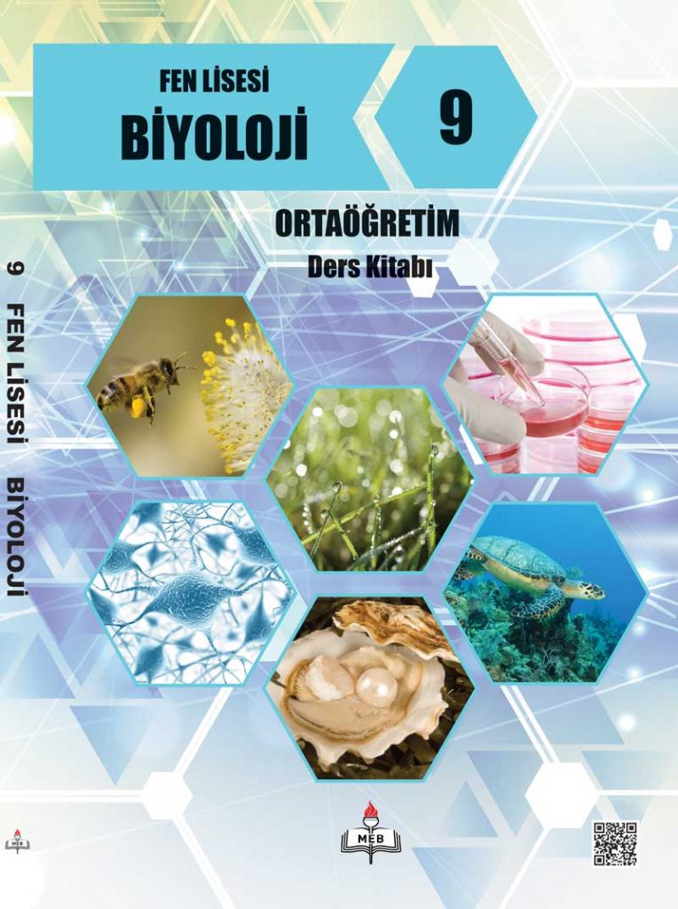 9. Sınıf Fen Lisesi Biyoloji Ders Kitabı Çözümleri ve Cevapları MEB Yayınları